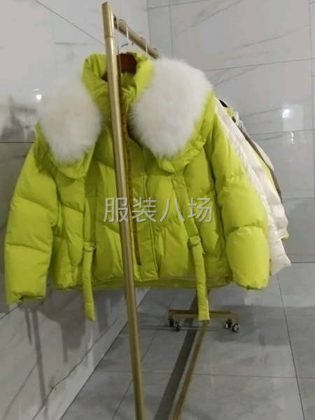 鹅绒服厂家直销-第2张图片