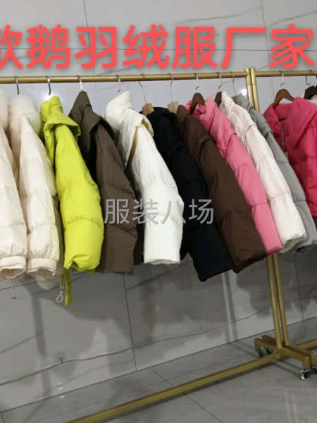 鹅绒服厂家直销-第4张图片