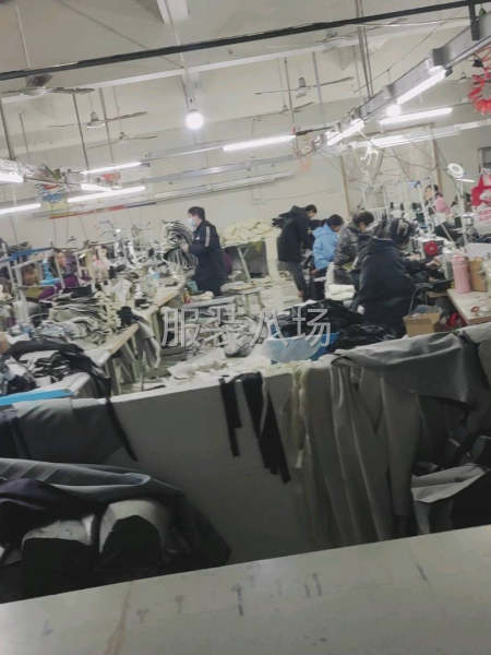 本月11号可以上手-第1张图片