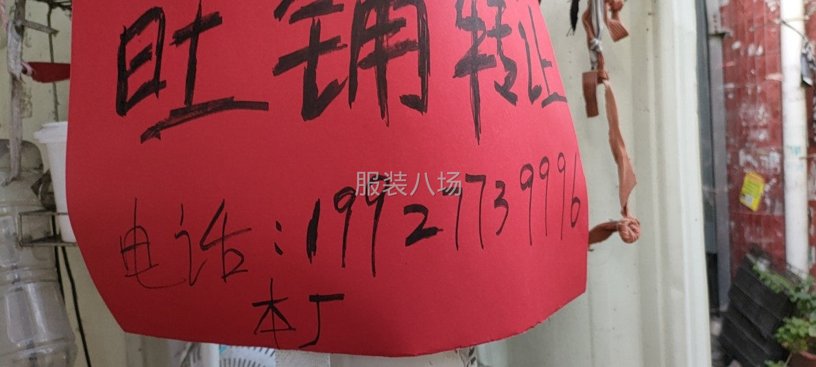 后滘北大街八巷16号河边-第1张图片