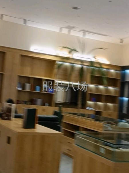 男女西装，男女大衣，时装，定制加工-第9张图片