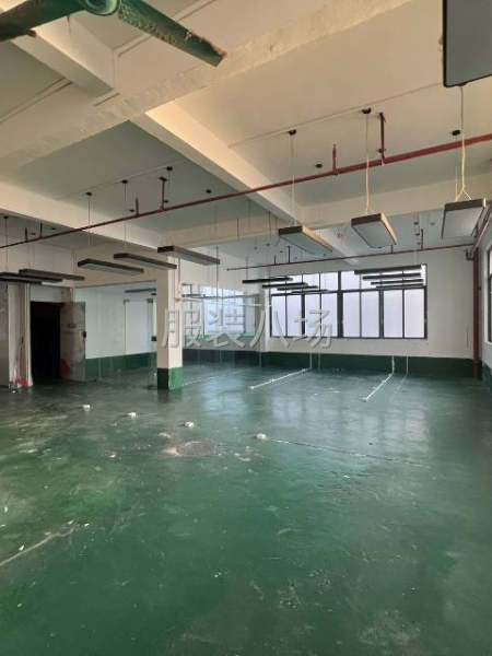 南村江南村工业区厂房新出-第3张图片