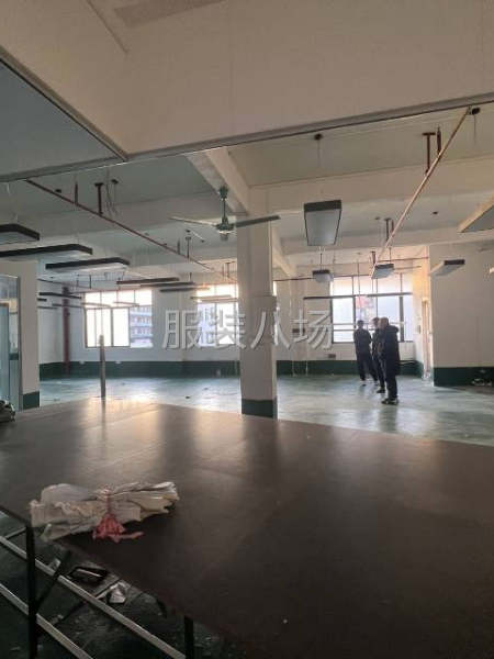 南村江南村工业区厂房新出-第4张图片