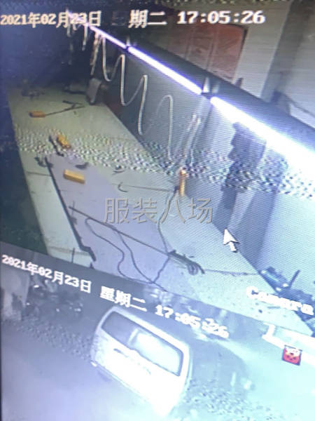 会电脑排版，手脚麻利，服从安排-第1张图片