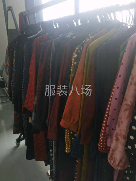 熟悉國內時裝女裝各品類看圖打樣，出版效果品控！-第1張圖片