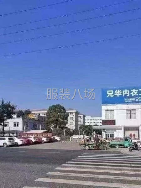 诚招熟练工车位多名双针拷边，学徒工均可-第2张图片