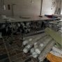 广州 - 番禺区 - 南村 - 熟练掌握裁床技术