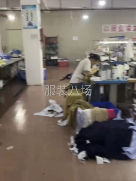 生產中制衣廠轉讓-第3張圖片
