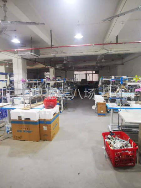 塘步西550方便宜转让-第1张图片