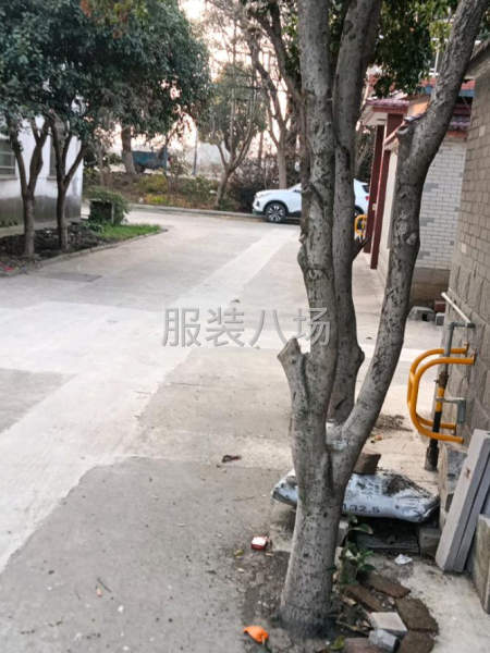 诚招缝纫工欢迎您的加入-第2张图片