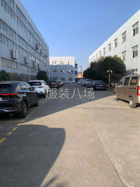 专业拷边，短裤包腰，包月，计件都行-第4张图片