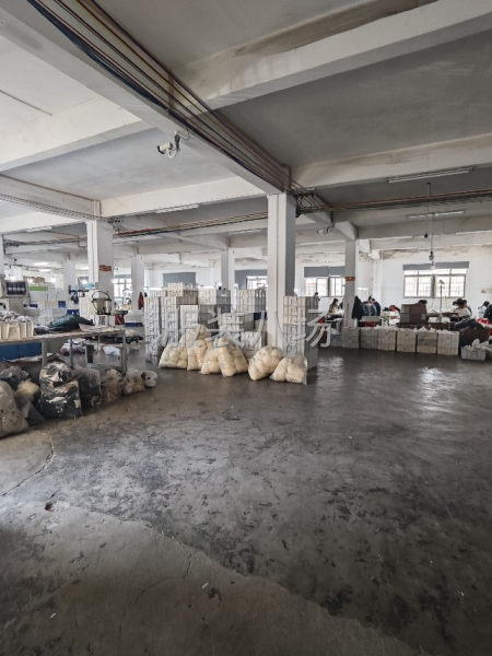 军埠 国字壳厂房 6400平 电费便宜-第4张图片