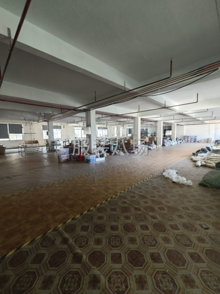 军埠 国字壳厂房 6400平 电费便宜-第1张图片