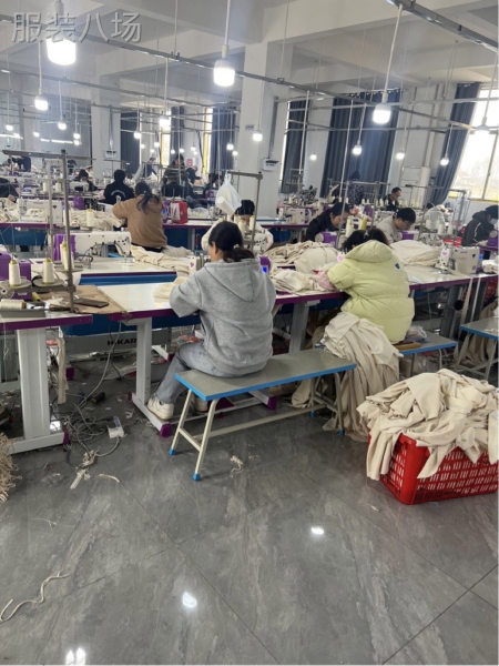 目前工厂有做裤子，上衣，裙子，卓天商务单-第2张图片