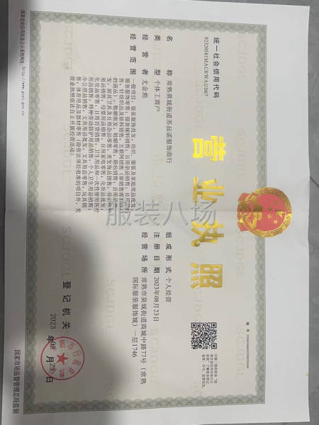 本厂专业女装，包裁包做，一条龙服务-第1张图片