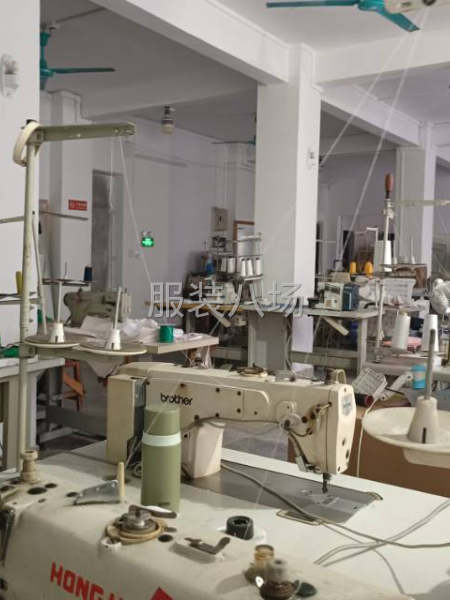 招车拉链上领翻衫工序-第1张图片