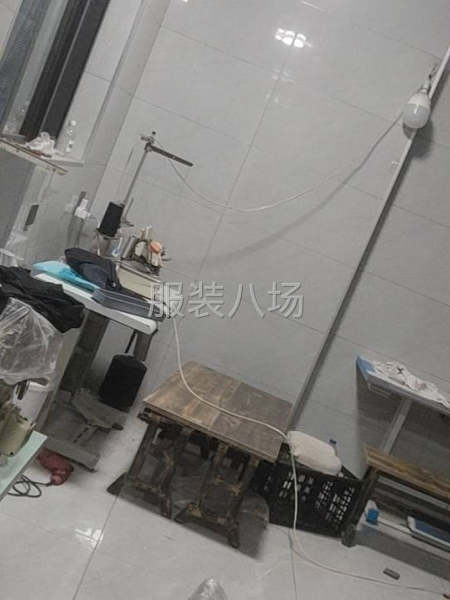 夫妻档承接女裤 专业做裤子多年-第1张图片