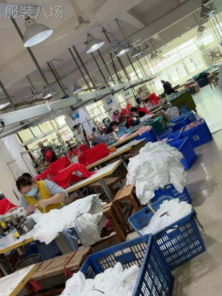 中山针织服装工厂承接各种精品加工订单-第1张图片