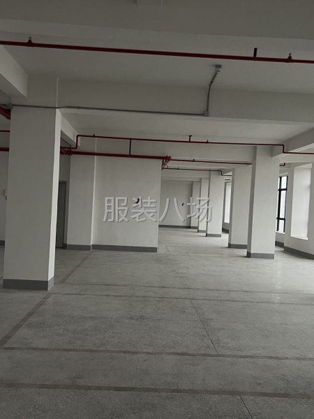 有服装电商仓库工作经验者优先-第1张图片