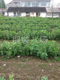 undefined - 林西村附近两间房转租，朝阳，门口有菜地，场地大，可以停车放三 - 图1