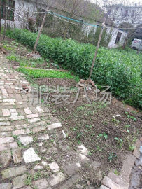 undefined - 林西村附近两间房转租，朝阳，门口有菜地，场地大，可以停车放三 - 图2