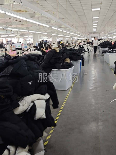 骆驼羽绒服单一品类质检，含尾检，组检，巡检三个职位。-第2张图片