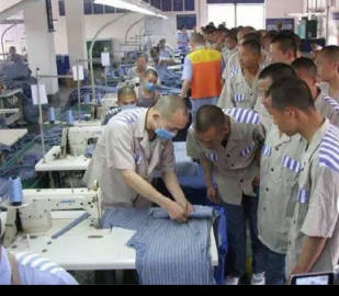 undefined - 山东监狱工厂1500机工承接各种订单 - 图1