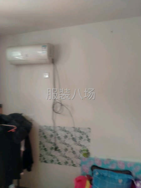 長年小衫不斷貨源，量大不斷貨-第1張圖片
