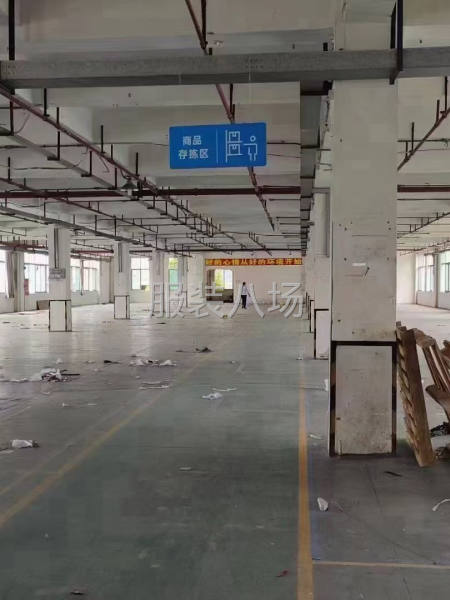 新出风水宝地1000方厂房，水电齐全带办公室-第3张图片