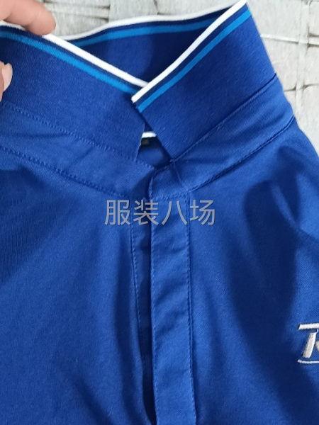 寻找装衬衫领夫妻档，寻找装衬衫领夫妻档-第1张图片