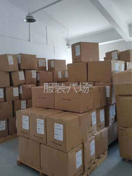承接节日服装订单，外贸，电商，亚马逊。-第4张图片