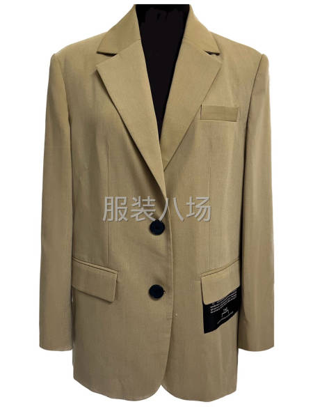 本公司做品牌女装，从研发到生产，做四季款，全品类开发-第2张图片