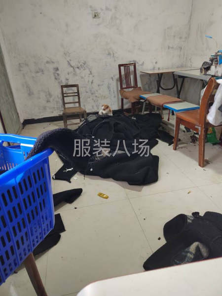 承接各种面料的衣服，衬衣裙子夹克棉衣都做保证质量出货及时长期-第1张图片