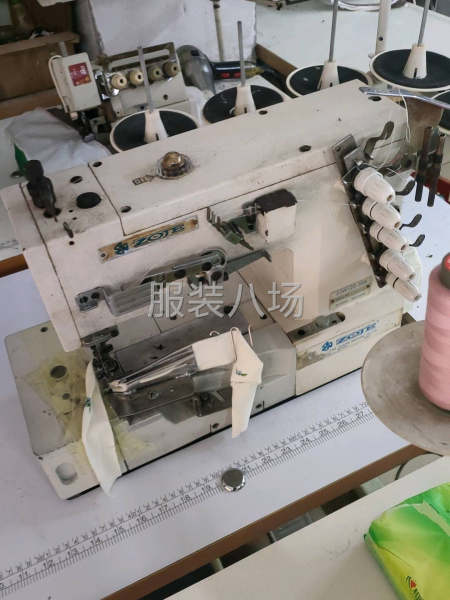 九九成新，杰克，布鲁斯-第4张图片