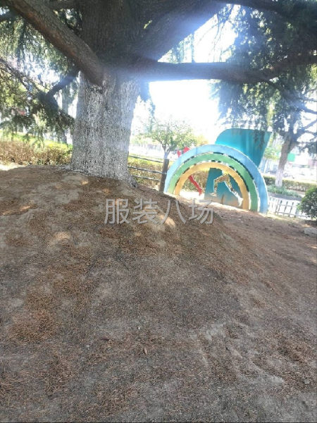 求职临时,经验8年平车靠边都会中道-第1张图片