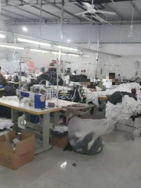 承接T恤 卫衣加工订单 质量保证-第2张图片