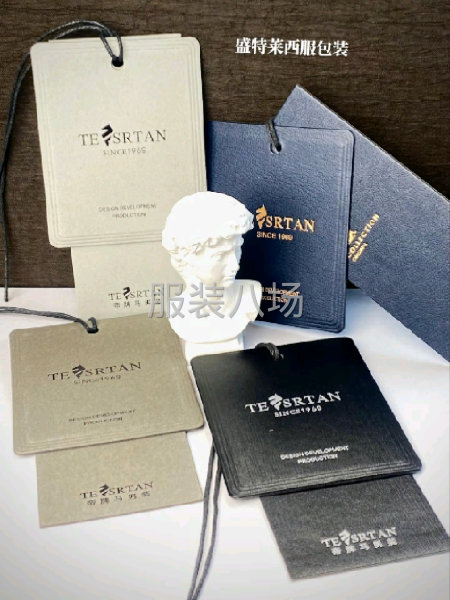 服装手提袋，包装盒，织唛，防尘袋辅料全套设计与定制-第2张图片