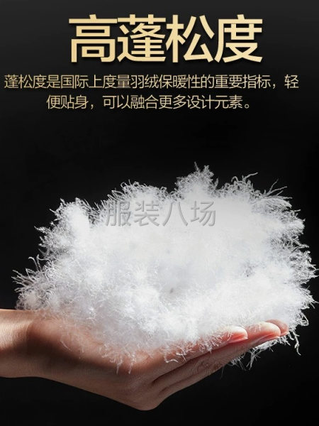 羽绒服填充物-第2张图片