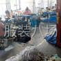 嘉兴 - 桐乡市 - 濮院 - 招工平车工人
