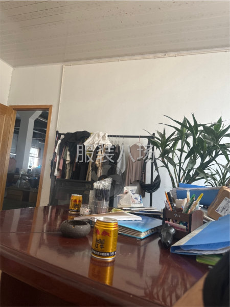 本厂专业生产针织服装工厂，主要生产网单抖音单，诚结服装订单，-第1张图片