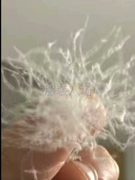 网店多余90白鸭绒，老国标纯白色，转让-第4张图片