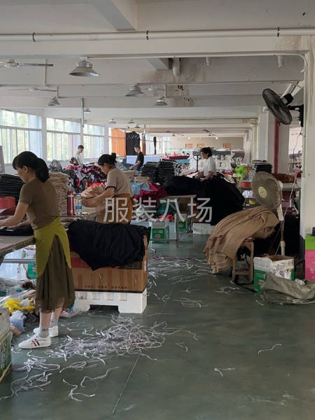 专业衬衫，裤子-第3张图片