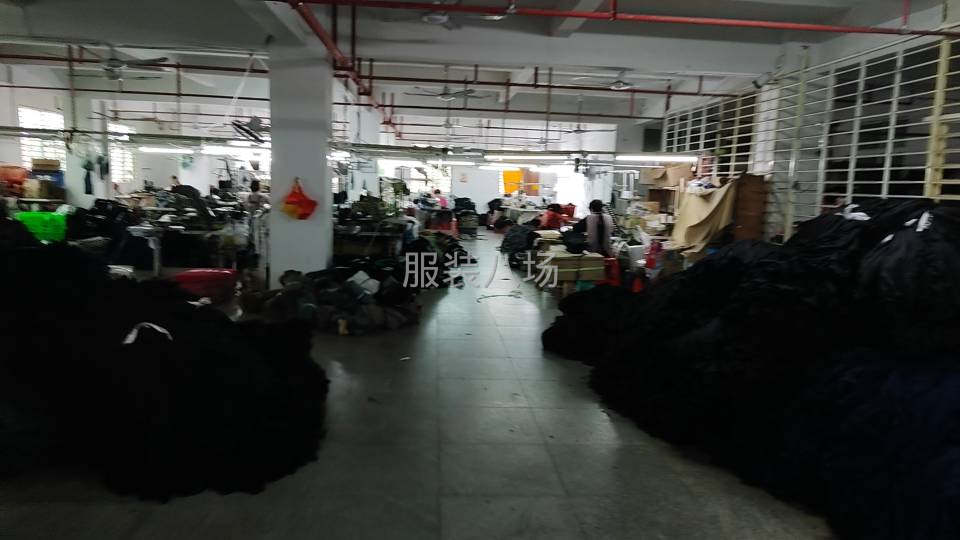 专业承接POL衫 一五三七七久八五一四六-第1张图片