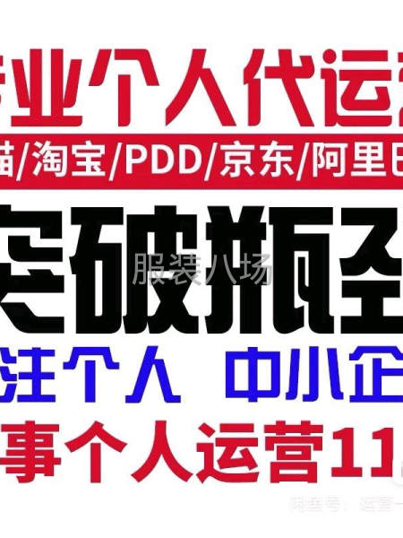 個人運營  天貓  淘寶  京東  PDD需要的咨詢）-第2張圖片