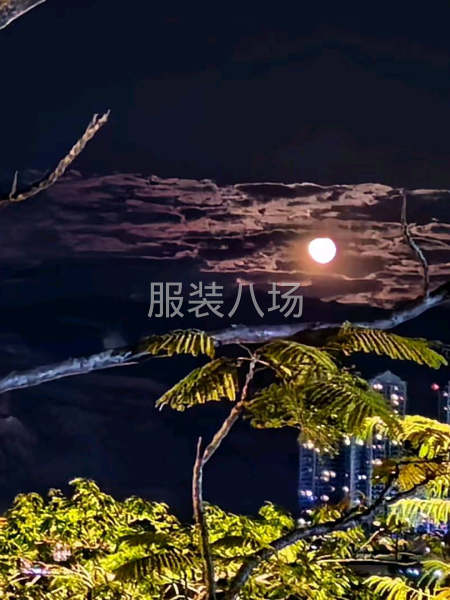 承接拉链衫裤子飞边麻丝等针织梭织活-第1张图片