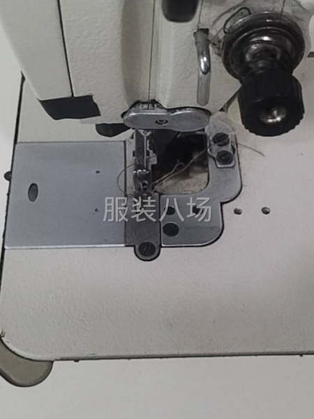 有兩年平車功底可以，做事認(rèn)真，有責(zé)任心，有專業(yè)的師傅指導(dǎo)，-第2張圖片