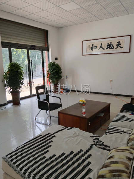 我厂承接各种针织梭织加工，免费打样-第7张图片
