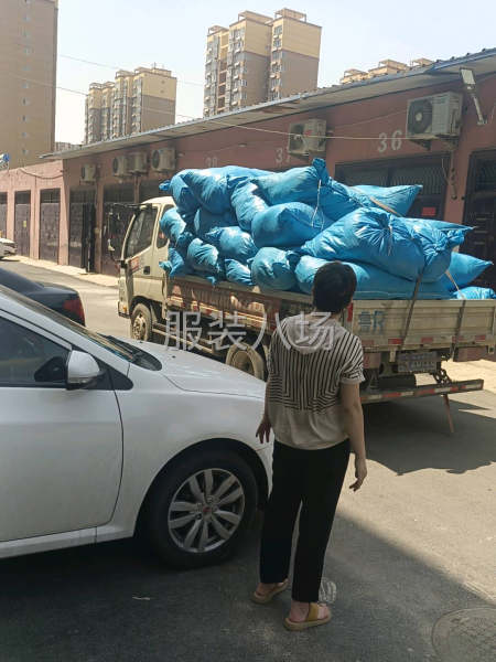 收卫衣卫裤半袖，纯棉面料-第2张图片