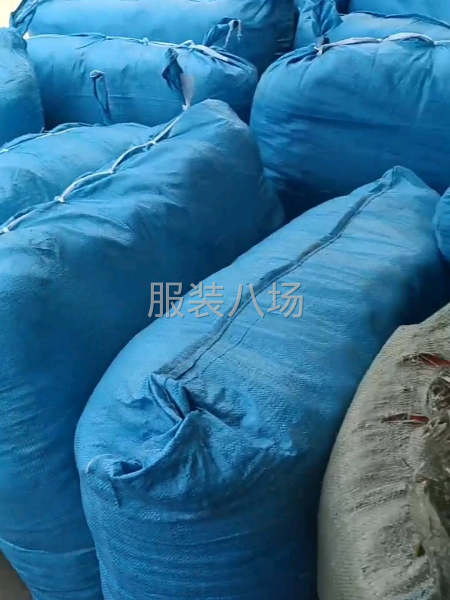 收卫衣卫裤半袖，纯棉面料-第1张图片