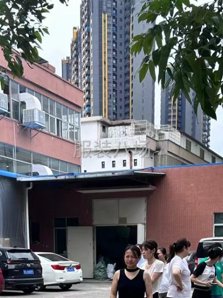 1.中专以上学历，电脑打字熟练，抗压能力强，服务态度意识强，-第1张图片
